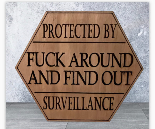 Product image and link for  **READY TO SHIP** * Magnet * Protected by F**K Around and Find Out Surveillance